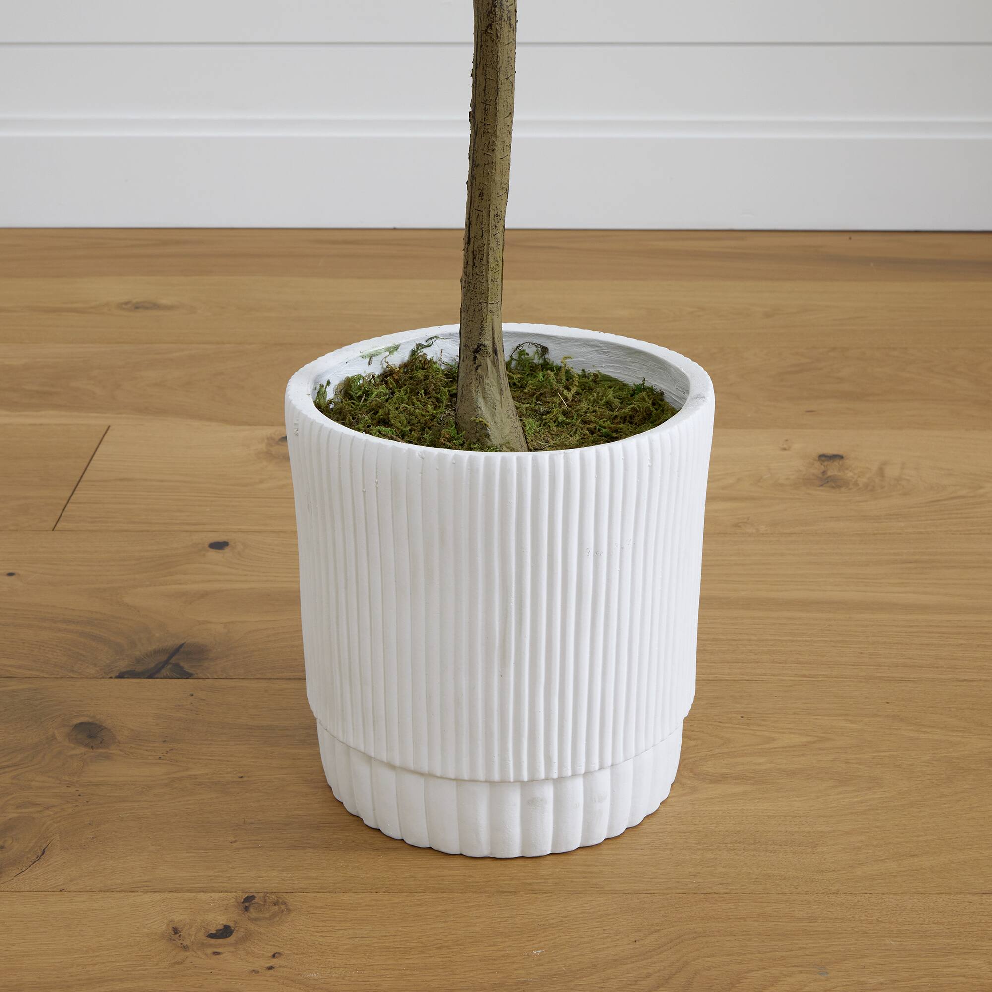 6ft. Artificial Olive Tree with White Decorative Planter